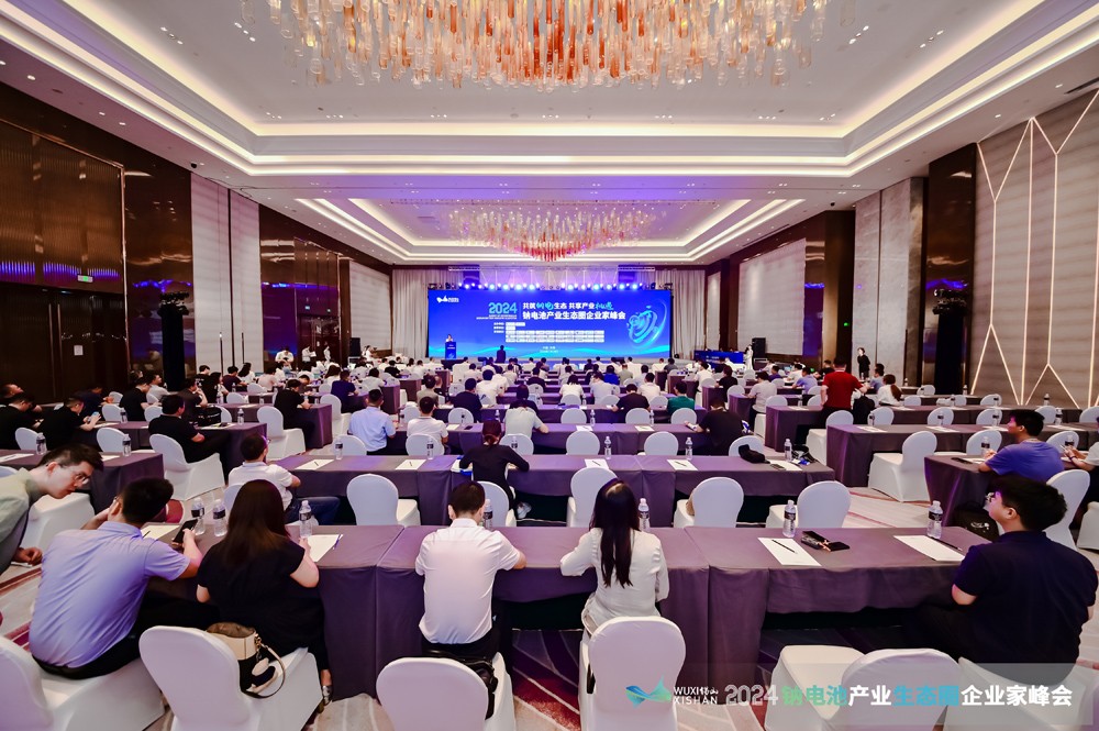 鈉電池產業為什么這么火?超150位大咖暢談行業發展