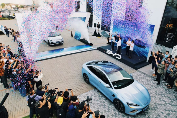 圖/比亞迪 圖/比亞迪