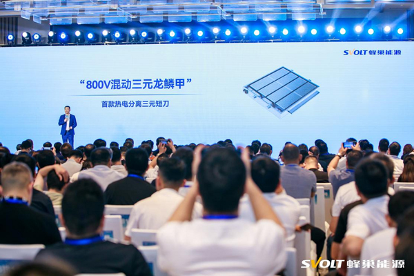 技術(shù)回應(yīng)內(nèi)卷 蜂巢能源短刀出貨全球第一 上半年裝車量增速第一