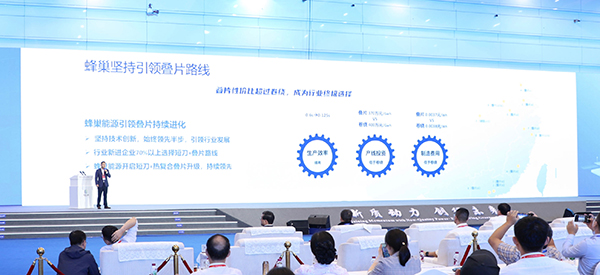 短刀電池,鋰電池,楊紅新 短刀電池,鋰電池,楊紅新