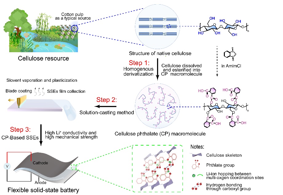纖維素衍生物基固態電解質制備過程 圖片來源:中科院化學研究所 纖維素衍生物基固態電解質制備過程 圖片來源:中科院化學研究所