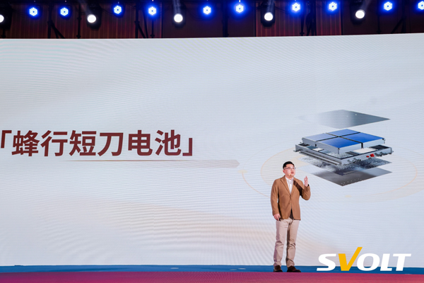 蜂巢能源,動(dòng)力電池,鋰電池,儲(chǔ)能電池