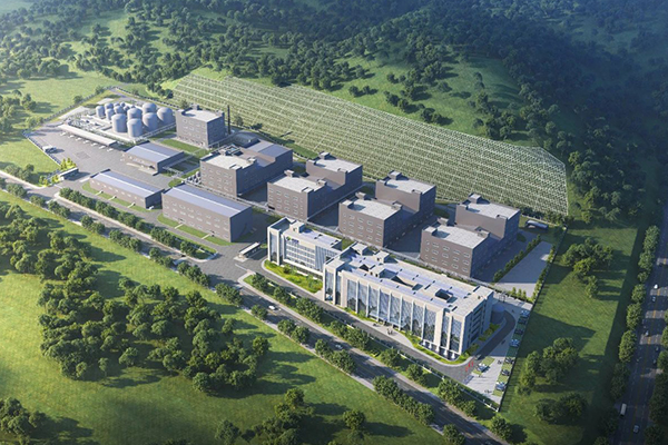 圖片來源：大亞灣發(fā)布