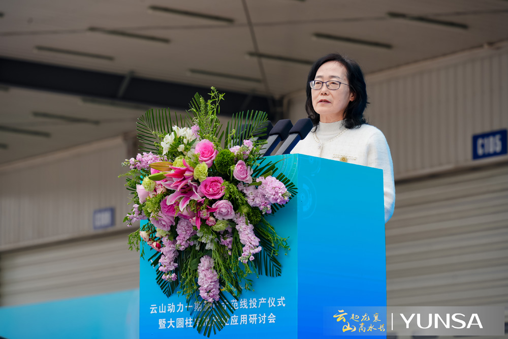 中國(guó)汽車動(dòng)力電池產(chǎn)業(yè)創(chuàng)新聯(lián)盟秘書長(zhǎng)許艷華