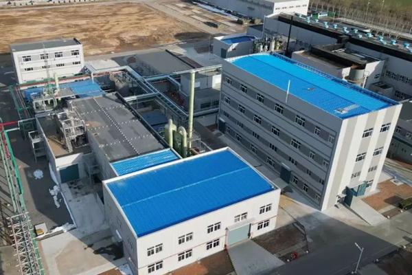 圖/壽光市融媒體中心 圖/壽光市融媒體中心