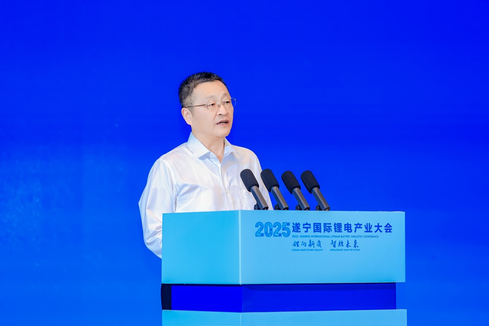 葛紅林：暴利時代終結(jié) 四大方向破局鋰電原材料“修復(fù)期”