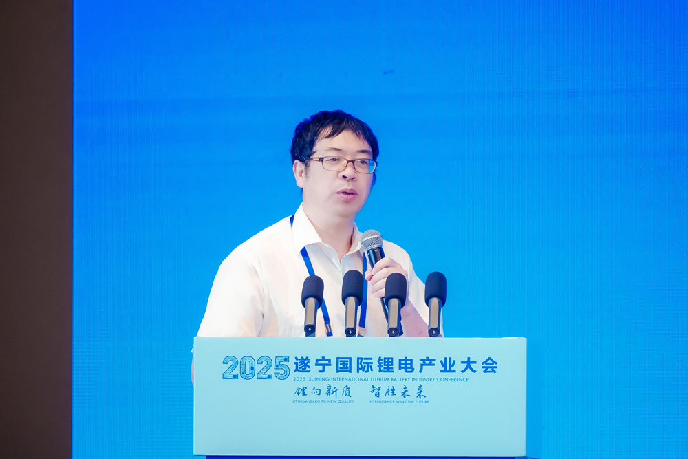 吳宇平:儲能才真正起步 破解電池技術安全問題已十分迫切